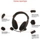 Навушники Piko PX2 Black (1283126489617) - зображення 2