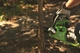 Аккумуляторная цепная пила Greenworks G24CS25 (2000007) - изображение 10