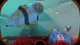 Subnautica (PS4, русские субтитры) - изображение 3