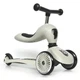 Самокат Scoot&Ride Highwaykick-1 Светло-серый (SR-160629-ASH) - изображение 1