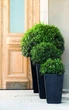Горшок для растений Keter Medium Rattan Planter серый - изображение 3