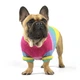 Светр для собак DogClub Rainbow L Multicolor - зображення 3