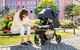 Прогулянкова коляска Britax-Romer B-Agile M Elephant Grey - зображення 3