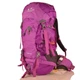 Рюкзак туристический женский рюкзак туриста ONEPOLAR (ВАНПОЛАР) W1632-violet - изображение 1