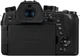 Фотоаппарат Panasonic Lumix FZ10002EE (DC-FZ10002EE) - изображение 6