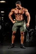 Шорты Gorilla Wear Smart Shorts S Зеленые/Хакки (9095140901) - изображение 5