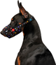 Намордник Collar WAUDOG Nylon №2 обхват 19-26 см малюнок NASA (вівчарка, доберман, далматин, лабрадор, сетер) (5389) - зображення 3
