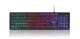 Клавиатура Gembird KB-UML-01-UA Black USB UKR - изображение 2