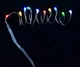 Електрогірлянда LED-нитка, 10 ламп, багатобарвна, 0,55 м Yes! Fun (801099) - зображення 1