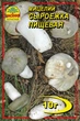 Міцелій грибів Сироїжка 10 г (Насіння країни) - зображення 1