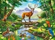 Castorland пазлы 300 "Лесная гармония" CASTORLAND (B-030408) - изображение 2