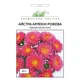 Семена Астра Арлекин розовая (726443) - изображение 2
