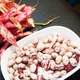 Квасоля Кущова Перлина пакет гігант Різнобарвний Насіння Florium (723018) - зображення 1