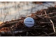 Deeper CHIRP+WiFi+GPS Limited Edition White - изображение 6