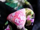 Тканина Moschino Шовк пог.м. арт. 12972 - зображення 5