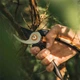 Площинний секатор Fiskars Solid P341 (1057164) - зображення 2