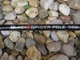Вудилище махове Energo Team Black Spider Pole 6.00m (11010600) - зображення 5