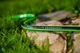 Шланг садовий Cellfast Green ATS2 для поливу діаметр 1/2 дюйма, довжина 25 м (GR 1/2 25) - зображення 3