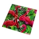 Весы напольные Rotex Flamingo RSB06-P 150 кг - изображение 2