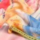 Софт блэкаут (затемнение 70%) принт Диснеевские принцессы, ш.275 (32107.001) - изображение 4