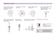 Експрес-тест SD BIOSENSOR STANDARD Q для виявлення COVID-19, антиген Ag №1 - зображення 2