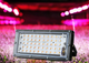 Мощный Фито прожектор полного спектра для растений и рассады 100Вт 96LED 240*125 мм (с проводом и выключателем) - изображение 3