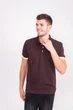 Футболка поло мужская TvoePolo однотонное XXL Коричневое (5718-18xxl) - изображение 2