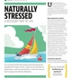 Stress The Psychology of Managing Pressure. Practical Strategies to turn Pressure into Positive Energy--(9780241286272) - зображення 10
