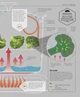 The Science of Cooking - зображення 9