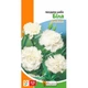 Семена Гвоздика Шабо белая Florium (727045) - изображение 3