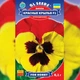 Віола F1 Червоні Крила Жовтий, Червоний Насіння Florium (724040) - зображення 2