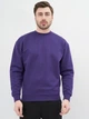 Свитшот мужской JHK Sweatshirt SWRA290-PU S (2000000003993) - изображение 1