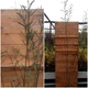 Верба пурпурова Ненсі Саундерс / Salix purpurea Nancy Saunders С15 /Н 150-180 - изображение 1