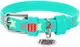 Нашийник для собак шкіряний Collar WAUDOG Glamour з QR паспортом, візерунок "Зірочка", світонакоплювальний, XS, Ш 12 мм, Дл 19-25 см (358313) - зображення 1