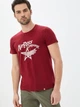Мужская Футболка хлопковая длинная Airboss Star wings L Vinous (2000000001586_A) - изображение 1