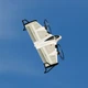 Летающее крыло дрон E-flite X-VERT VTOL BNF без пульта (EFL1850) - изображение 4