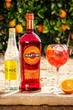 Вермут Martini Fiero 0.75 л 14.9% (8000570048022) - изображение 6