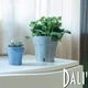 Горшок с автополивом Santino DALI 0,6 л дымчато синий-серый (DAL06SBLU/GRY) - изображение 2