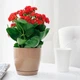 Горшок для цветов Form-Plastic Тоскана Круглая-17 3 л серый (0743-059) - изображение 3