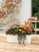Розумний горщик Lechuza Balconera Color 50 прямокутний 8 л 19 x 50 x 19 см Білий - зображення 5