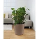 Розумний горщик Lechuza Classico Color 43 круглий 33 л 42 x 40 см Коричневий - зображення 4