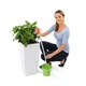 Умный горшок Lechuza Cubico Premium 50 квадратный 61л 50 x 95 см Белый - изображение 6