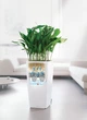 Умный горшок Lechuza Cubico Premium 50 квадратный 61л 50 x 95 см Белый - изображение 10