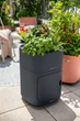 Вазон Lechuza PILA GROWPOT Color 35х35х16.5 см Темно-сірий (15946) - зображення 2