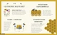 Світ бджіл. Кристина Банфі. Видавництво Wise Bee - изображение 3