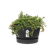 Горщик для квітів Elho Greenville Round круглий 13,3 л 30 x 27 см (332358) Графіт - зображення 1