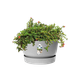 Горшок для цветов Elho Greenville Round круглый 13,3 л 30 x 27,8 см (345754) Светлый гранит - изображение 1
