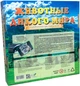 Игра Strateg Животные дикого мира (на русском языке) (686) - изображение 3