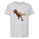 Футболка детская Парк Юрского Периода 0012 (Jurassic Park) серая (JPK gry 0012) 152 см - изображение 1