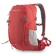 Спортивный рюкзак Pinguin Ride 19 2020 Red (PNG 327137) - изображение 1